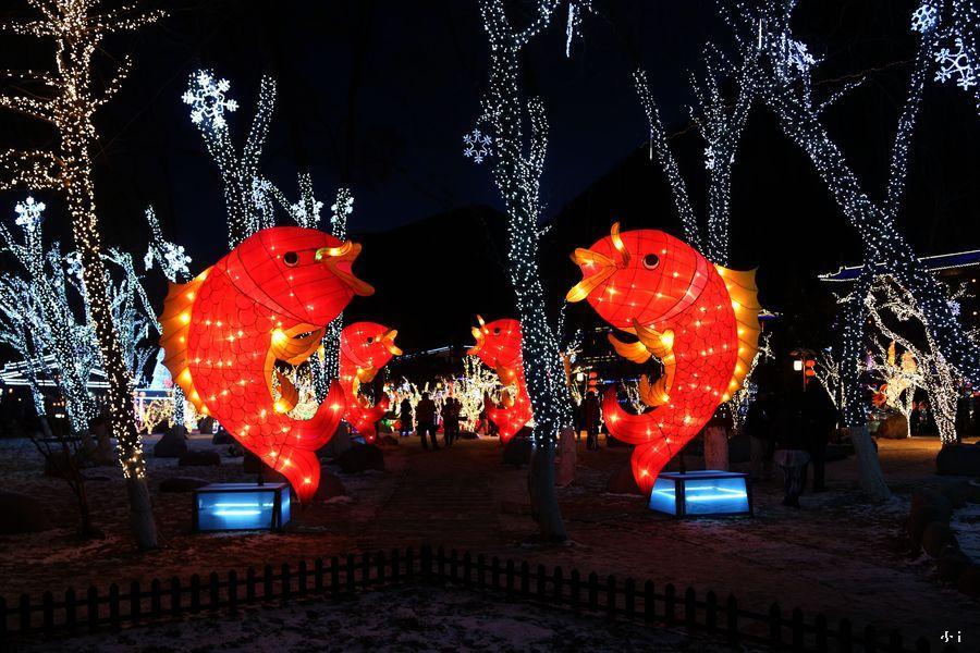 17800003_1453415661615_mthumb