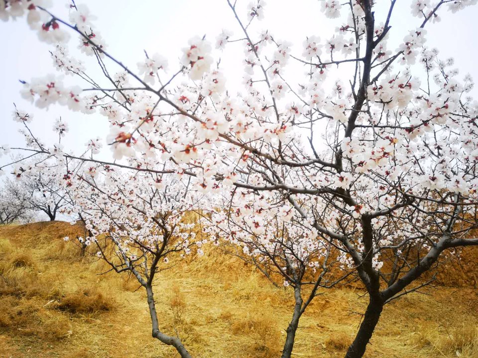 g7B6y_emL06ai56_WnQCLsSGNMLQ5nReKthFlsuKF-0zKvxhAR7m4eFBpgTAwZi9