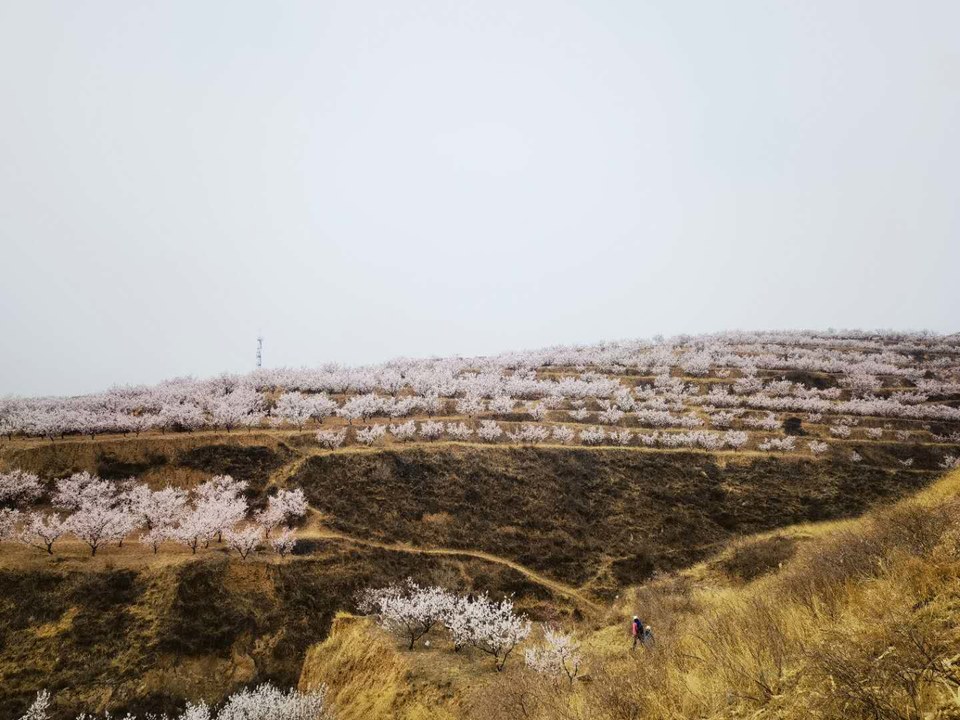 QhMOzxmvtYpPA45K5fdYQntI1vnhlDMPGTfHTLmPKpl_DV1Voy3b0e173XFOTrby