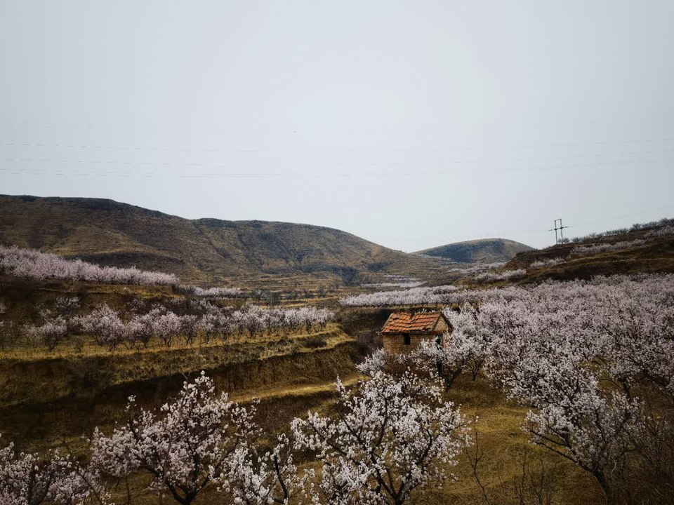 pz6Tjgd9znkGYyWqkPccxD0EzhOtJF29Ajc1GUmcSoNwm-tqtFOMZ6lBXHkOlPF8