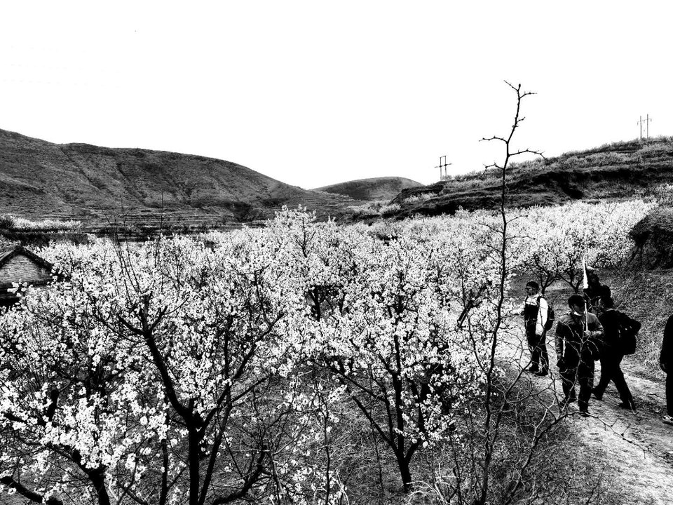 0zAy5oXQ1kZmWNeY8Uff1gibK6T5G8X1g1afRUNN9MvESORx60rEVLNI5r77HZB5