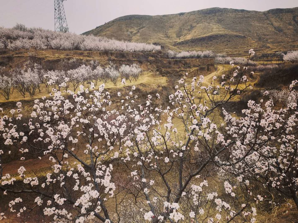 J8fPKvMcocS3LfTULyUm4FairqpUdGwYzcK4pxwLuHcQdpYHOd6TxBDknXcsdnXJ