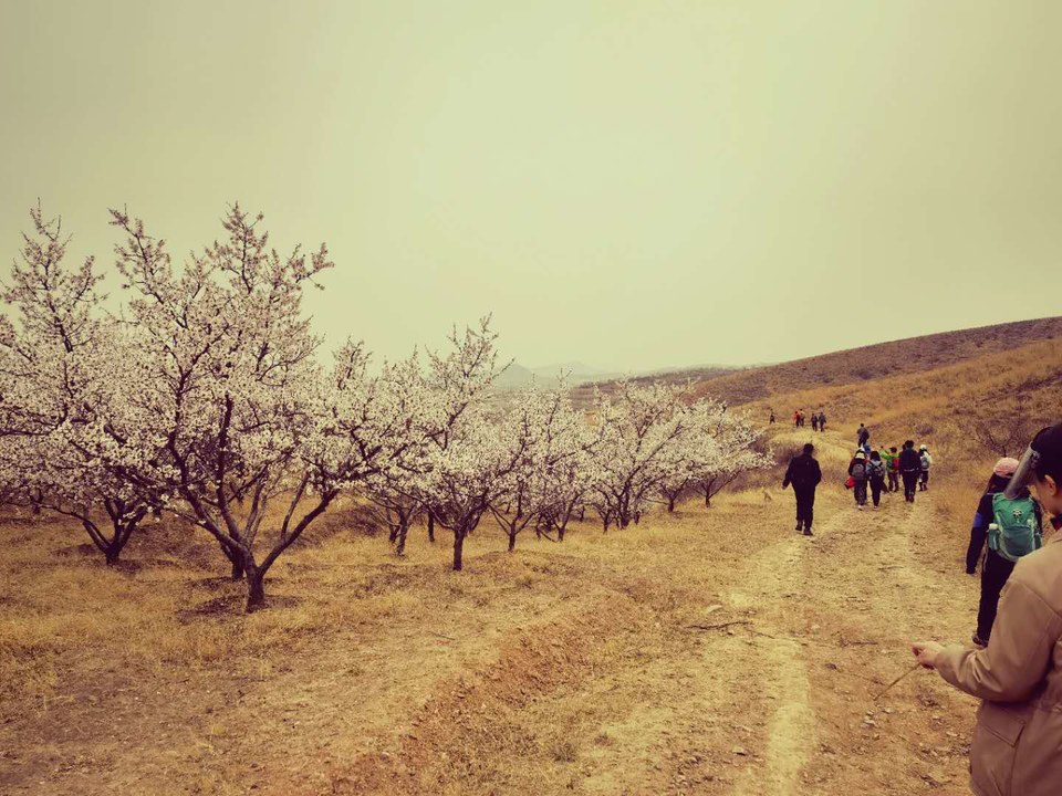 KIDK_AUXe3KRFYk4Qt-ChnR5CfOVO6s2i0uDlIMteBycFT1oXoHNueCuoyCnQFou