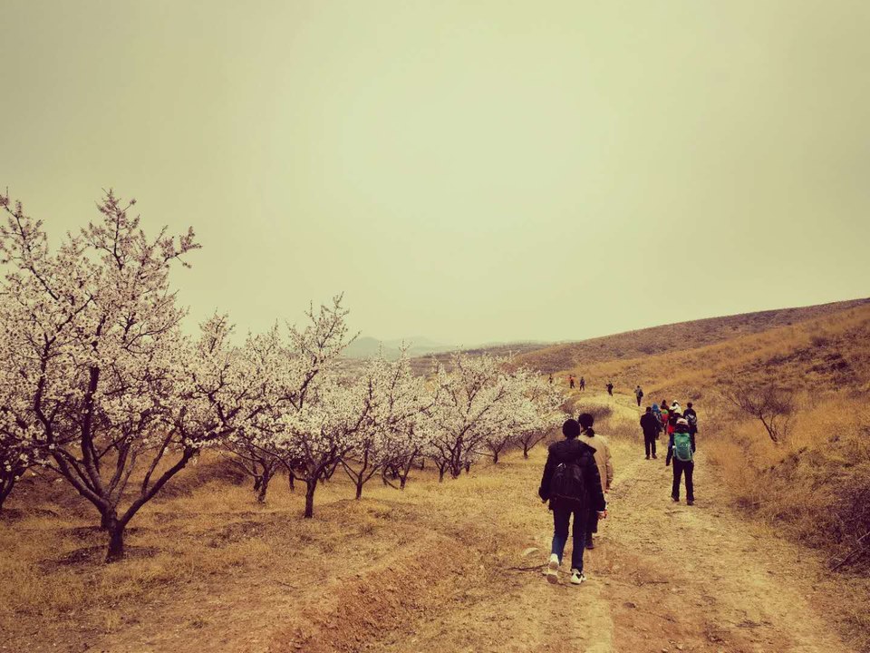 gidRk_52wNbRrPf5m7GOiIQXGOe_JIVX-pPHw-uH7nFBrWkUm7SixszrUihCGIzM