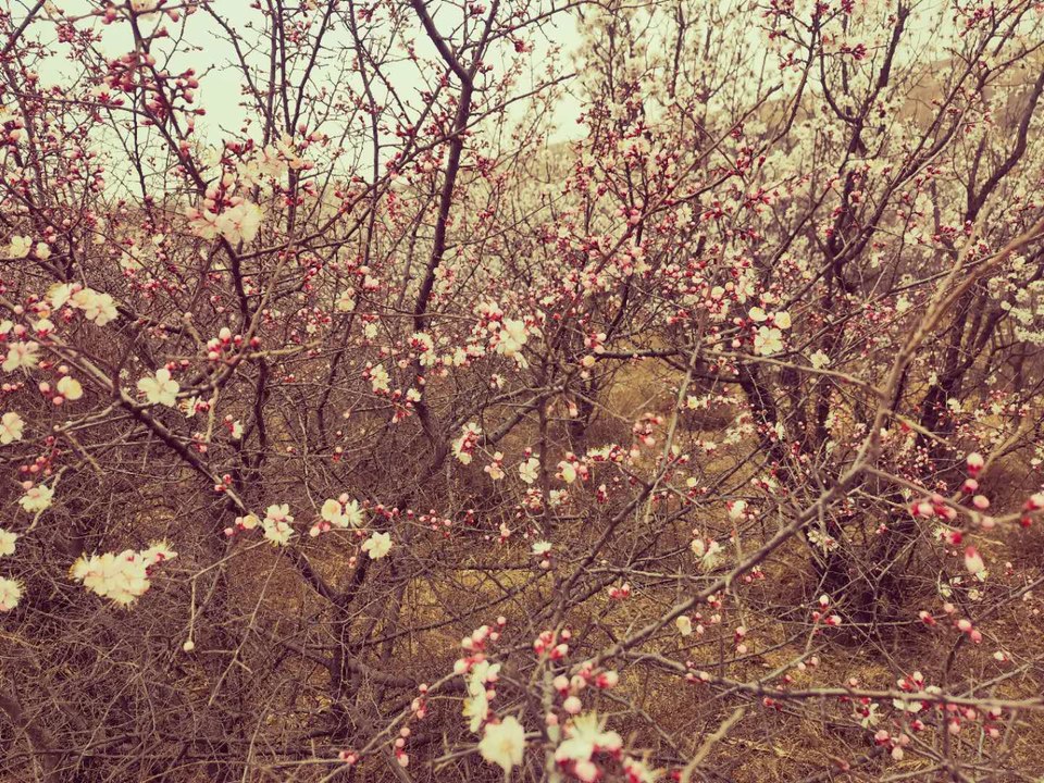 4qWOlAWD0DsmnP-bisAJrAETlap0IoxDAT47CR_k0voSTXRnXXb7HStaxbhCxNfS