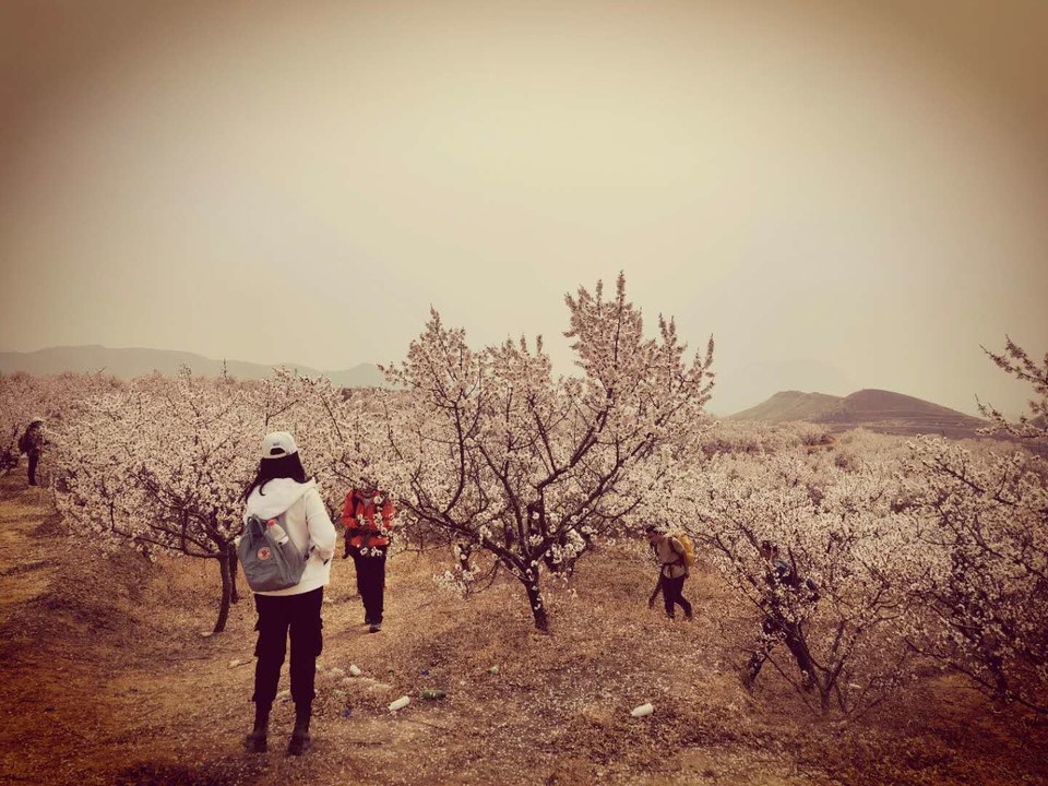 jg_sl6Zjeqc3oh6AlxACKeSxUGGl99FASwRLbWZl_ep-QLNHYFw2Dp2Zoc4m0yfF