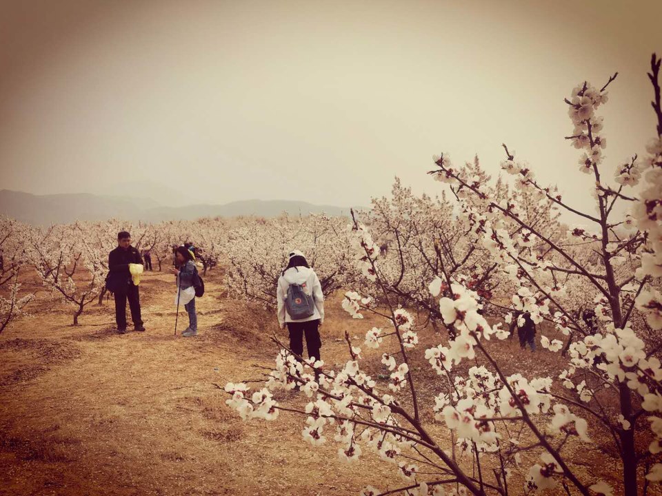 l3pwE7awCV3NKRoMXuTxCa-DIjz6X5ExxGpz-dQxHwDlI-dXh54CmcETXQMO-Z8r