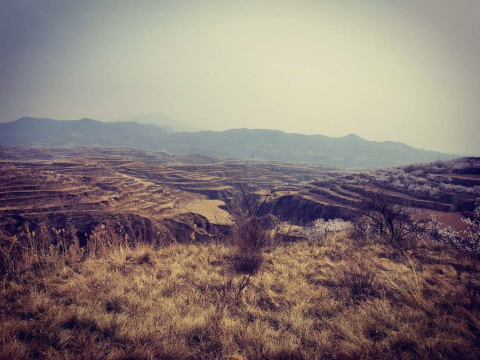 hNQ3OwscYL7i3GxPWC0MI_nEqa6zhwXnkHmWkAEipB-3V1tPUFmcxOaX03-aSawE