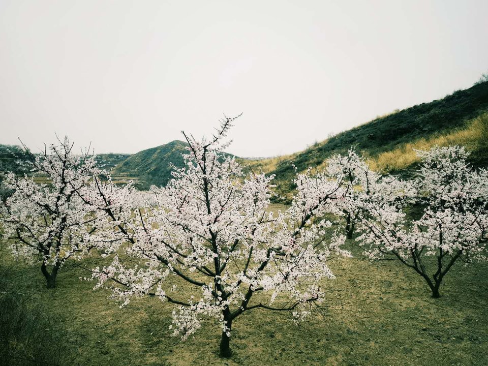 B1GBSX-F_NUm5MU_n8UQOHeRxa-3o9Mb3grOzaojTgBQhUbwabki0TC1K0Tw_Dfj