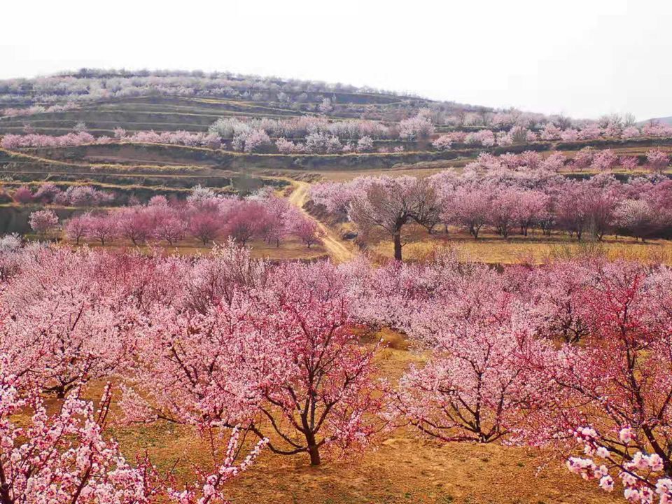 DP_AVsNJLPIpb6siBX-lorJQDtVj7UI-tGgwZdwZI_1iiNiIN7B2ILgat9G3NcKk