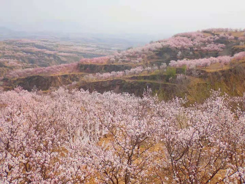 350-McsscsjeCAoaLMMOYbGnbTCi2FI0Xyc_aTO_3o0hu05NluEzTvjPdlYbFJm7