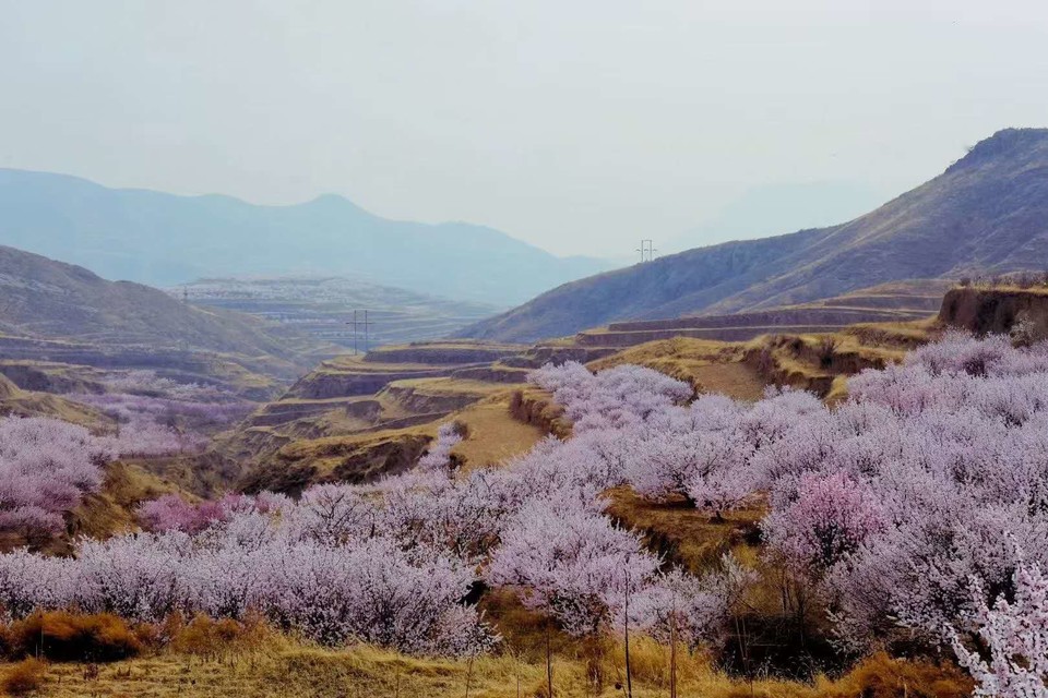 T15RJ2Vas2SCIgcixtOSZx_Fye7q3JrHSNBtaKBFRU9Pm3cAZeESFkGDiW55TTU1