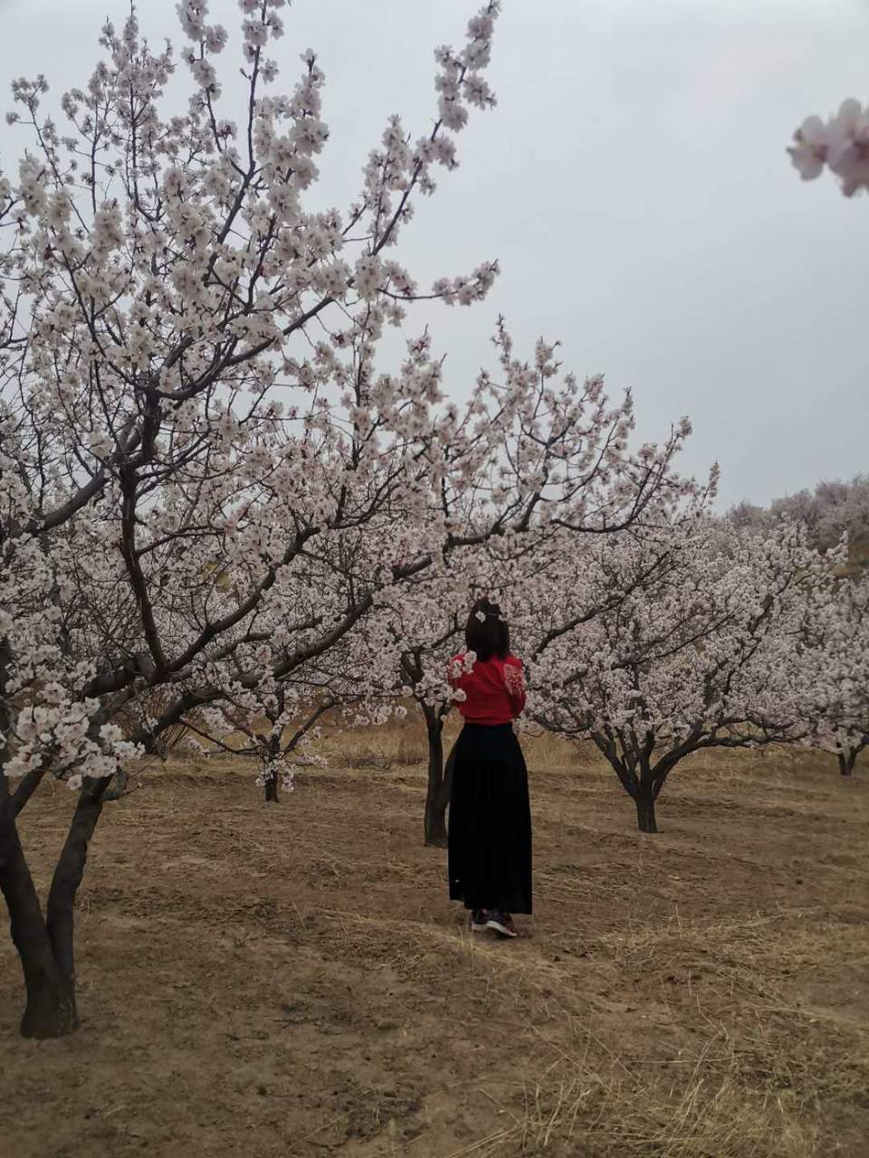 _2UxCLuIkEqW7gjvMiYgrAECb_gF0lEpS2SQmkHDq3GCj9tOTZ_EjiRriyXLMS7y