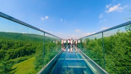 七彩森林-玻璃栈道