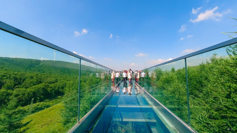 七彩森林-玻璃栈道