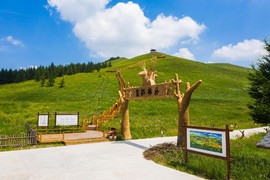 七彩森林-丛林部落2