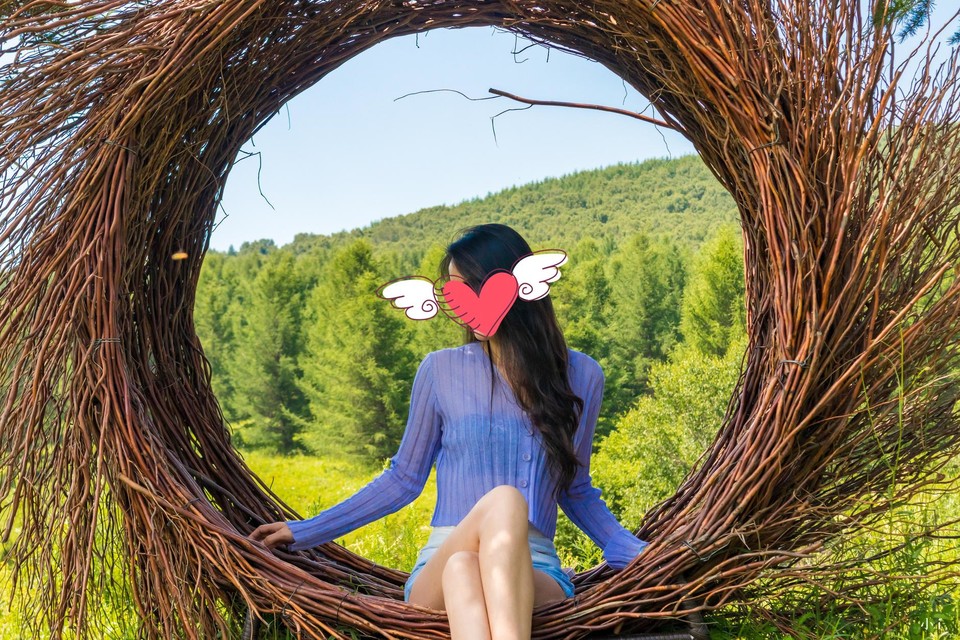 七彩森林-鸟巢_副本