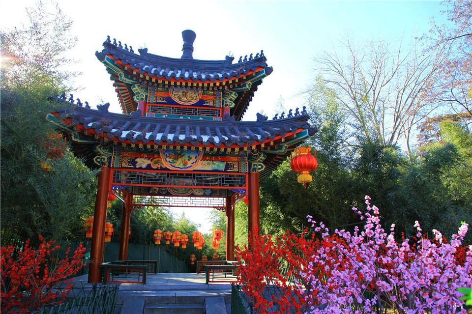 ae1e9a1209ad440395d8c4303604d9b5