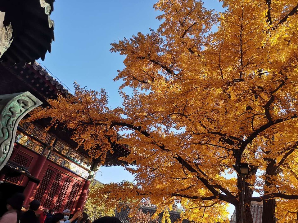 微信图片_20201103135533