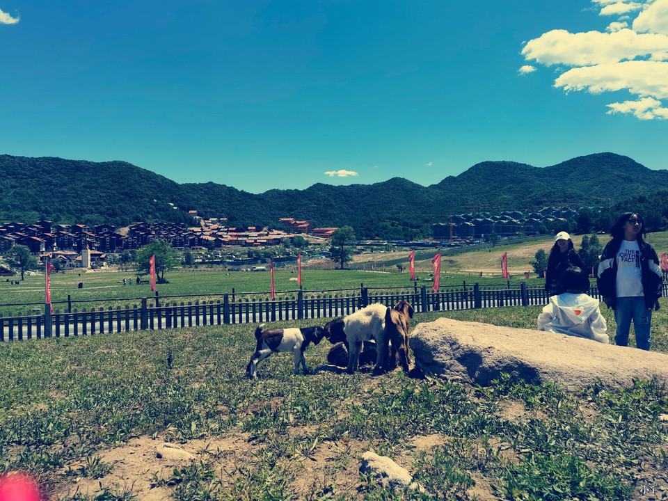 hArWkW-PZNFYWwavIgBAofN3vOQMxABedEt88-EU8LEDNfJUAuNUGy2ip0GkxNdC