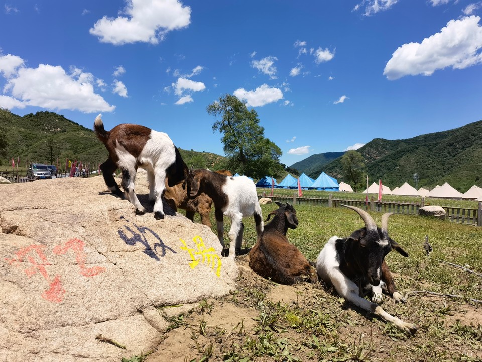 hArWkW-PZNFYWwavIgBAoZy3xjAAQgjztCGcsXXmAuLH904Dk8hPF_po57GtxF-Q