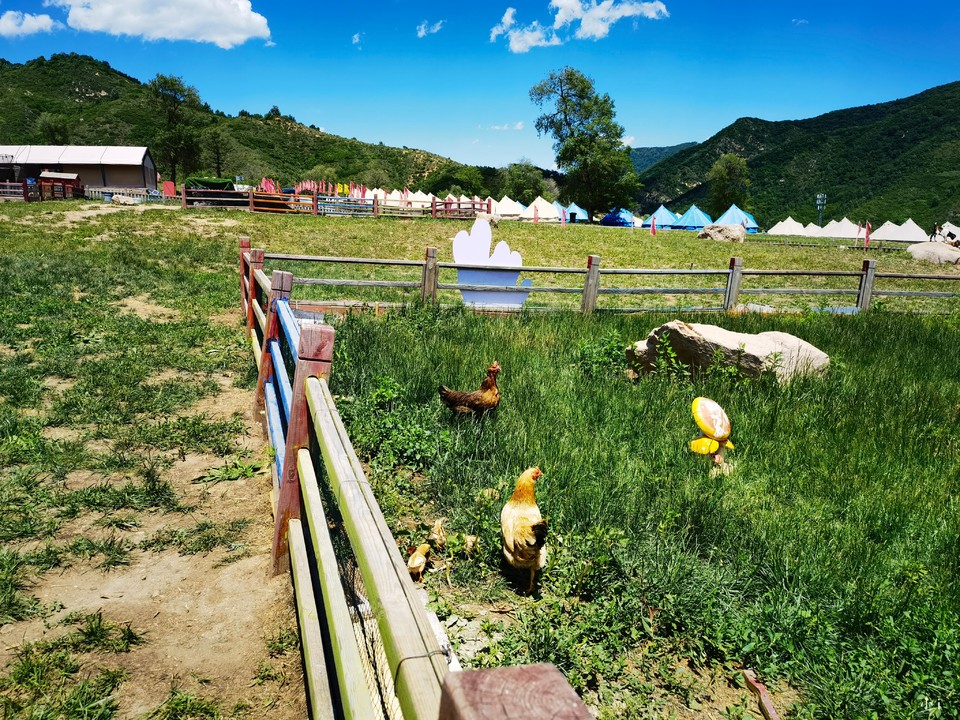 hArWkW-PZNFYWwavIgBAob6DMwCQ5IjHFEkdwovvFNtvP6b8F6UsG58EYax0pSxB