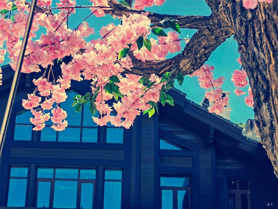 zz3xkQjlm8NHi4UiutYQrH0CeBOn03lg6WkImZHPL8Aiyx1p_-1fk15v74JRdYrs