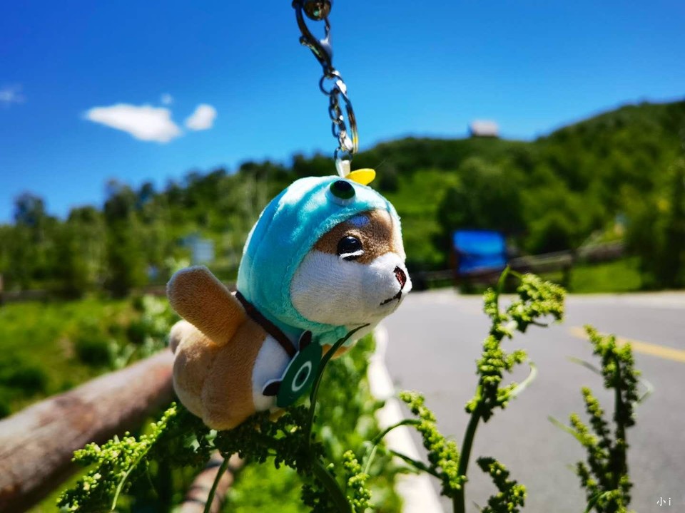 zz3xkQjlm8NHi4UiutYQrNRgFA5uiCKczmu42oP2C-slV9pxb6TEo2U5Y0MqOHhO