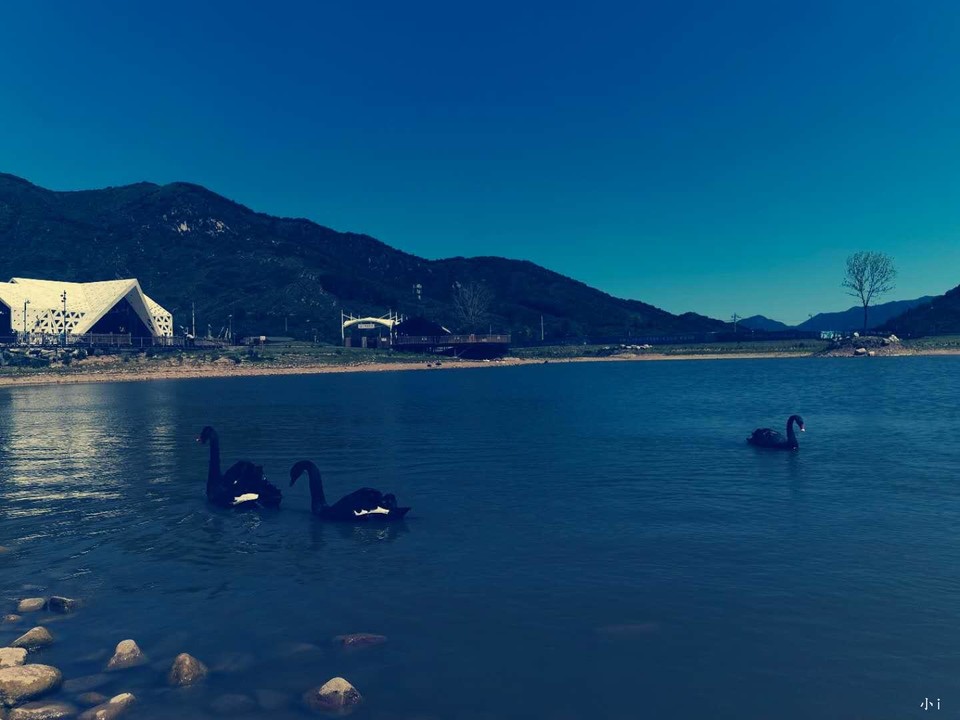 zz3xkQjlm8NHi4UiutYQrL5mj4k_GqkYjf73L8mK7OQPEKyCEAMVaLDJ_5qhjN5Q