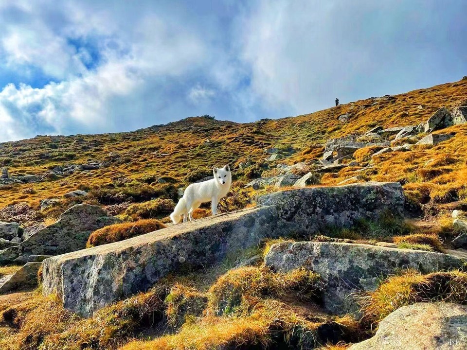 OsSh8N4YRIJC2PtkpAI_p9tkAPrCys932UhAISrjHF_i1AUr6ohNJEQTJMQQg3gN