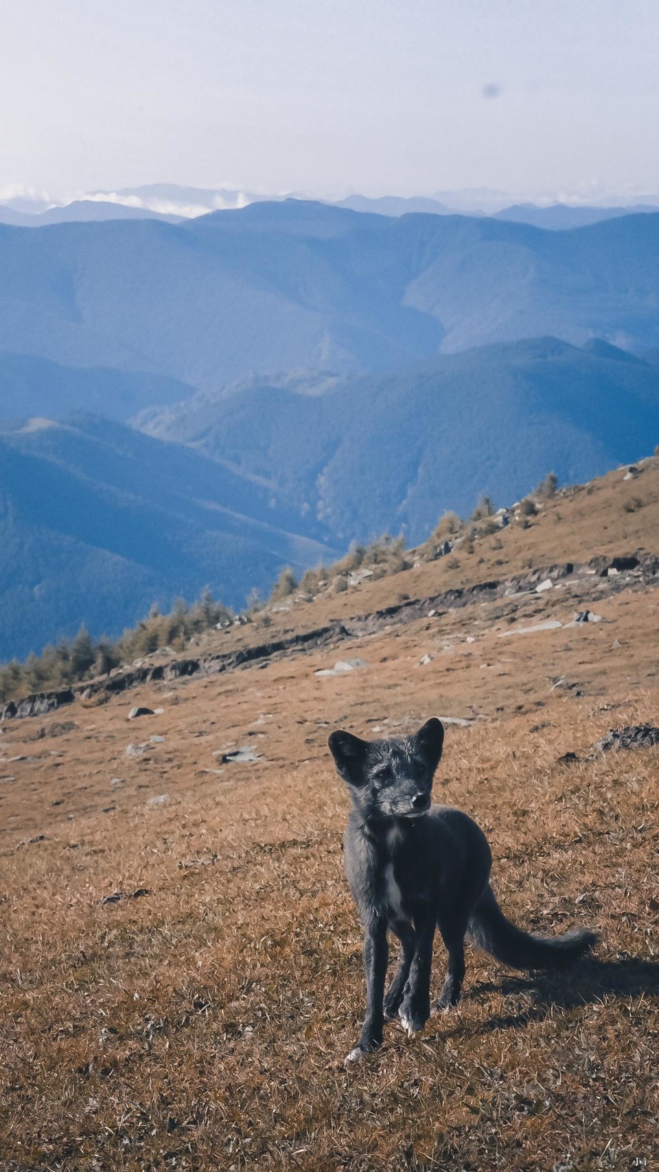 OsSh8N4YRIJC2PtkpAI_p4CEbvgtLklEt9eqR2FtYie-mqDfbEe-iJ1QJ40rddEZ