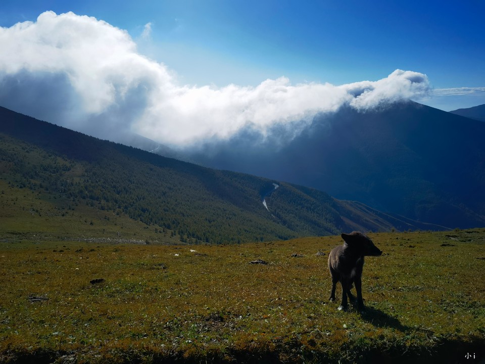 OsSh8N4YRIJC2PtkpAI_p6niwDcJdammVDg5a6ksabG-th3U6NgjNylK2aCgYYDA