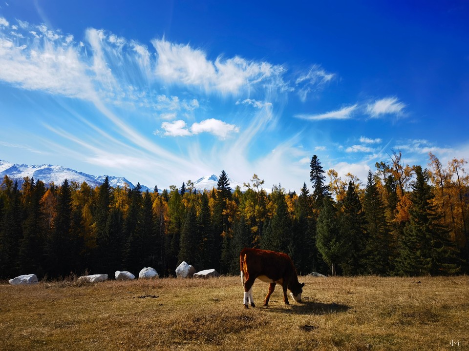 tZ1z_H77cmGDy-_VKNuFYxshRSjrrhahpTi986235Gk58t7FSFWyL2xhp26WHlb_