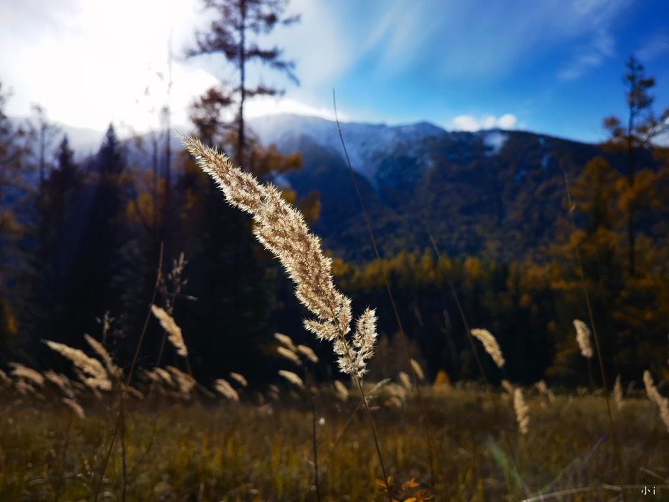 tZ1z_H77cmGDy-_VKNuFYzvOAeVvQDWhXDQ2MHpmAdb8ftz2zcqXtQJQl3flKhLh