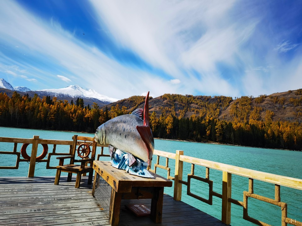 tZ1z_H77cmGDy-_VKNuFY36QB1zYM8tiiornrnSH46oR_xhI0wqDrbzsdq9NMv96