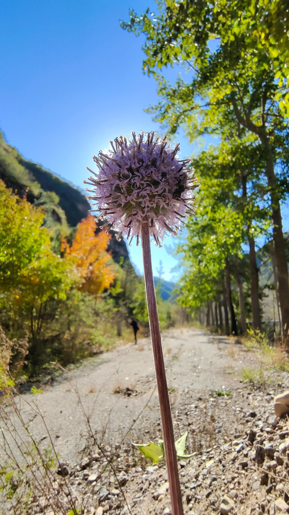 2q7QpEJra-X8XlPYYKwetlP8nun7uu9FEmYjmdzTbS5N5-CD0ic7JvseR-9NmHBv