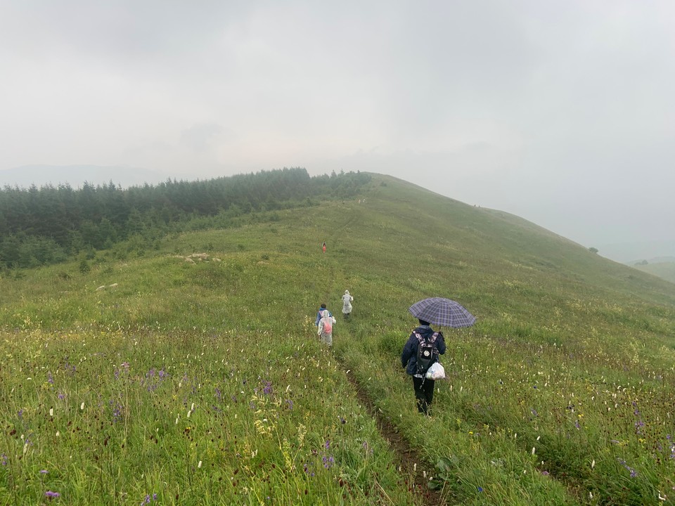 mmexport1596285485839