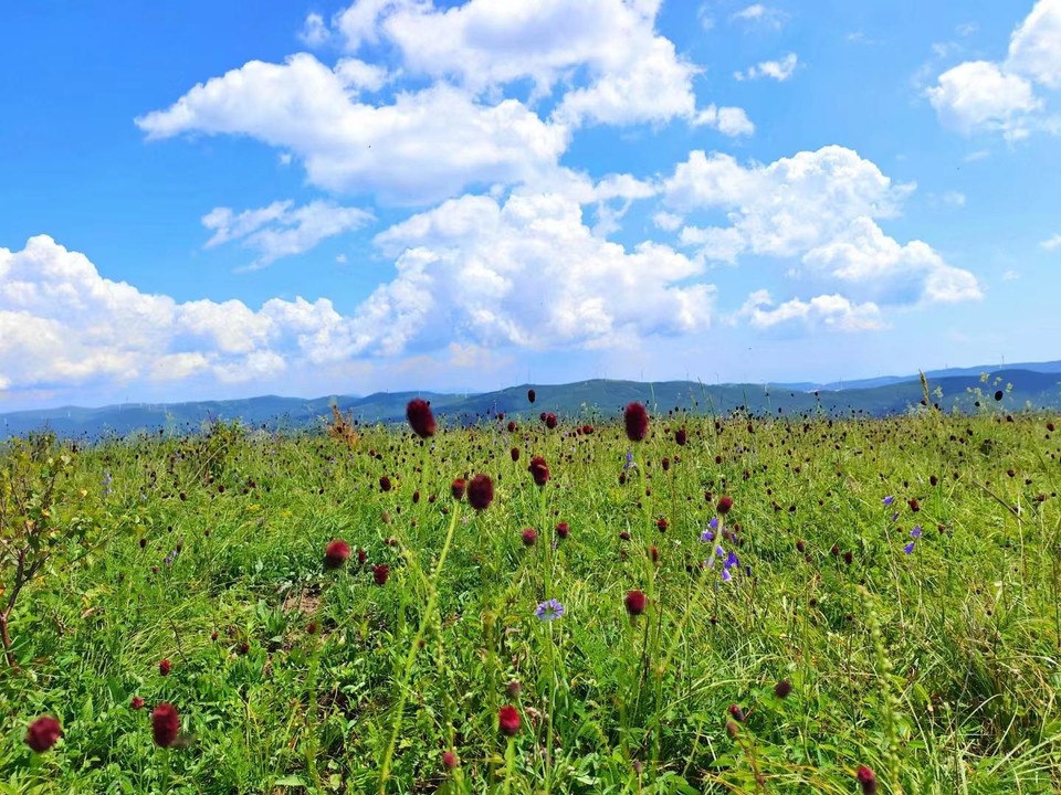 微信图片_20220725141923