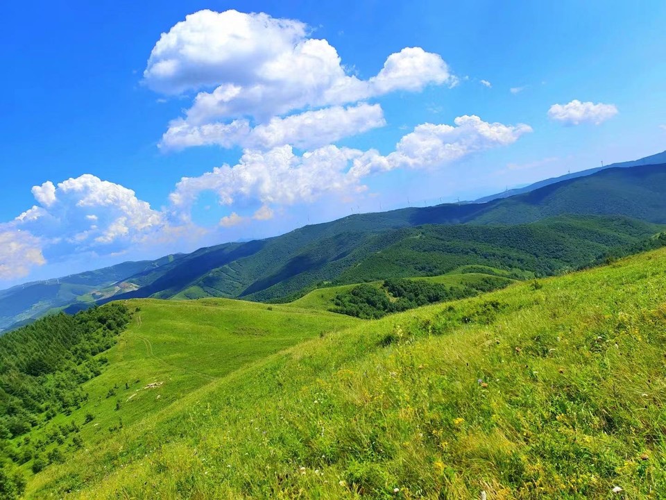 微信图片_20220725141941