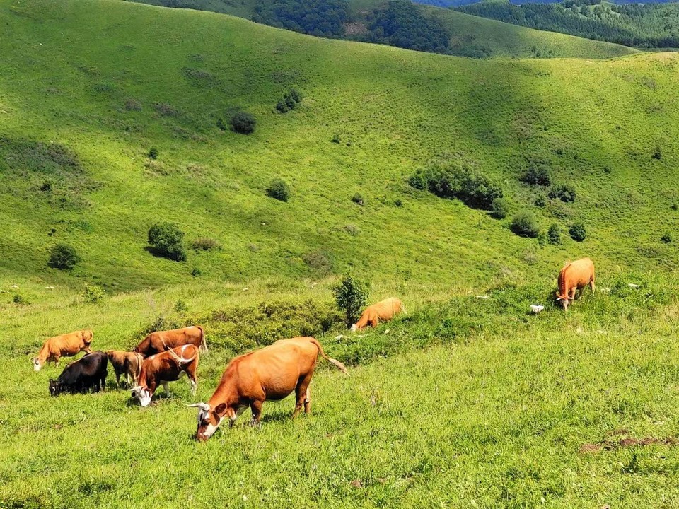 微信图片_20220725141944