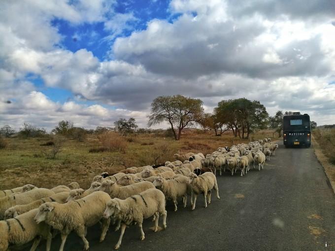 CoUBYGCo-viAfJ2TAAzzm4Mxr3Y68