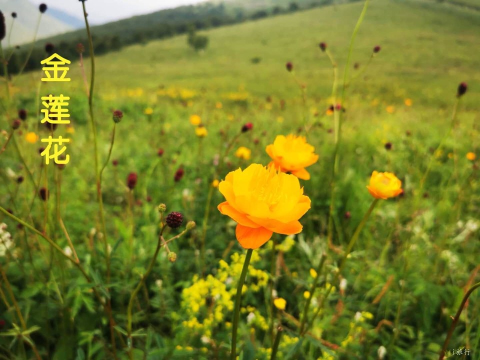 5COZ4LTyDqKAolODYsW0Z_yiE-8ZzJOn7eKhN-y87_cna58TYVRqKb_YqChnwv67