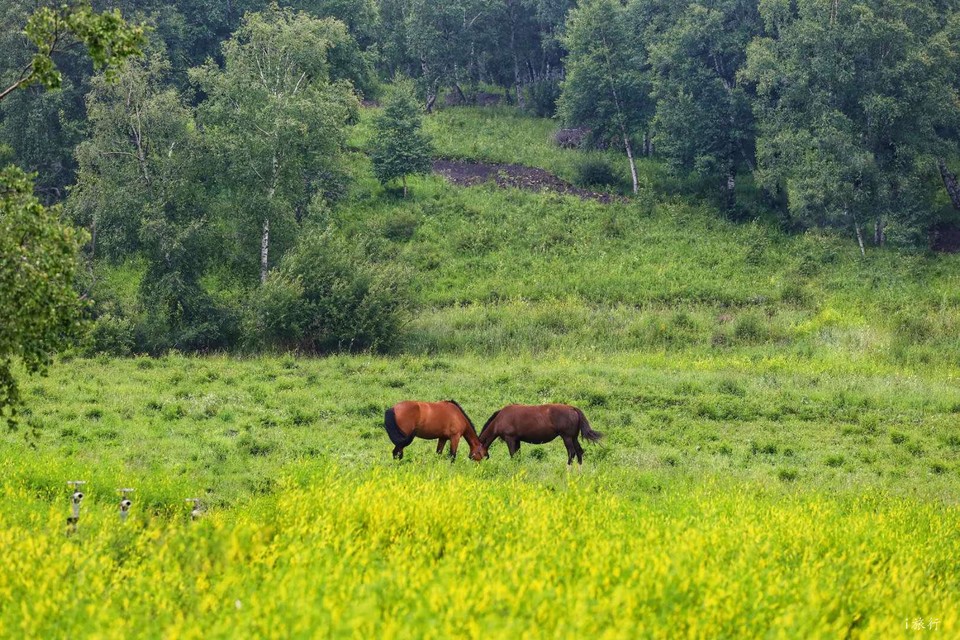 VjfbhPLslORVOjJwHySN_-KGRvB1BpC1rWpuutGbUR9nwwxmNPopP8LiwbY21sm4