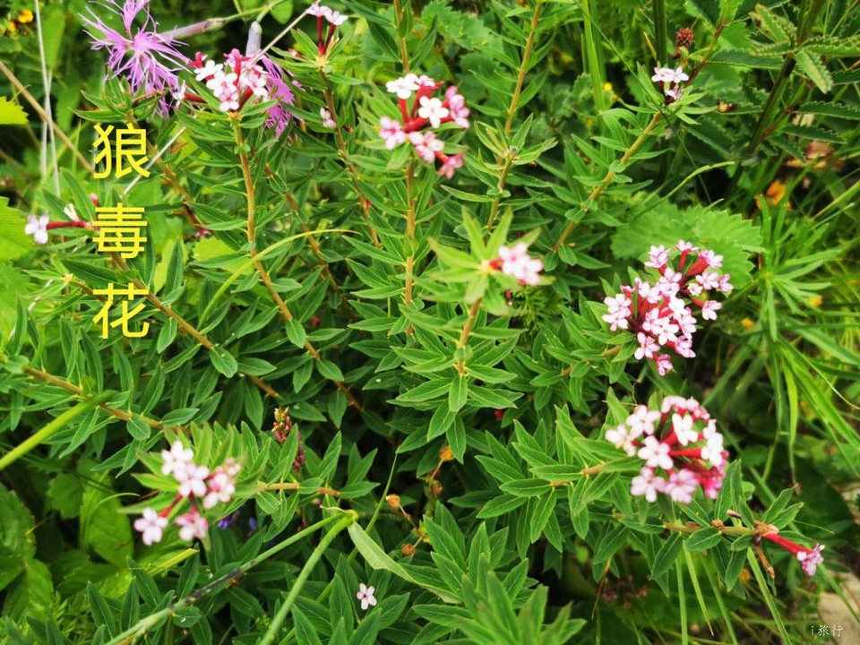 1baJB5u5oZ8x1dqbnbmzDIuBvh1c34mKWR99fOiT2cWOj3W-wb51_og9IpAKX-uh