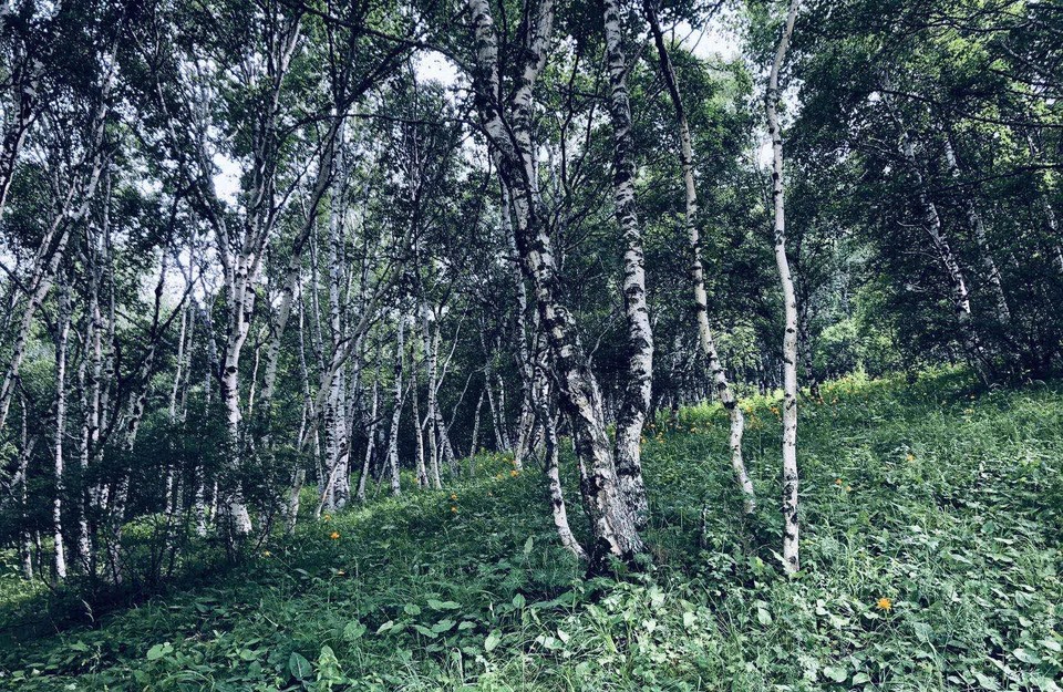 EDLnnSKPfsSZ7a8nD9gI1Itqtb3pbq51j-I_s27LxoARhmdmIvLWrhyla9wRvb-I