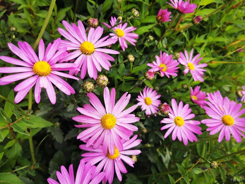 gAMcvmj0c35wMAEJtmFFh82da-ZKwutPQb25rKjF3MwX_jtuOMY9q40d6U7HQ42Z