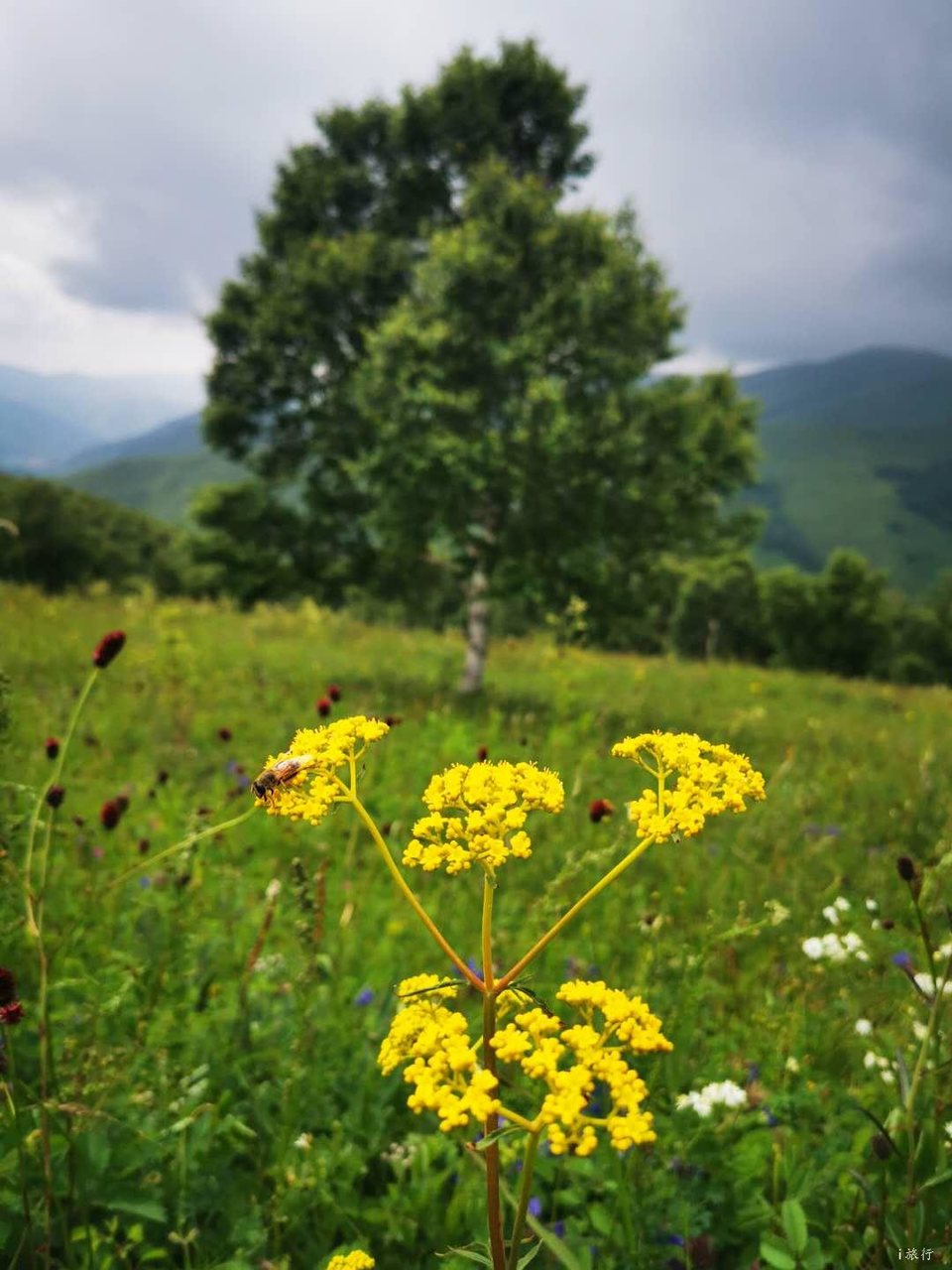 FcXkp7lUzq126v1lpB0-phaPLGxi55G2vWLU_7Zg6nMYKL1y_LPOF69wjZd1XMAK