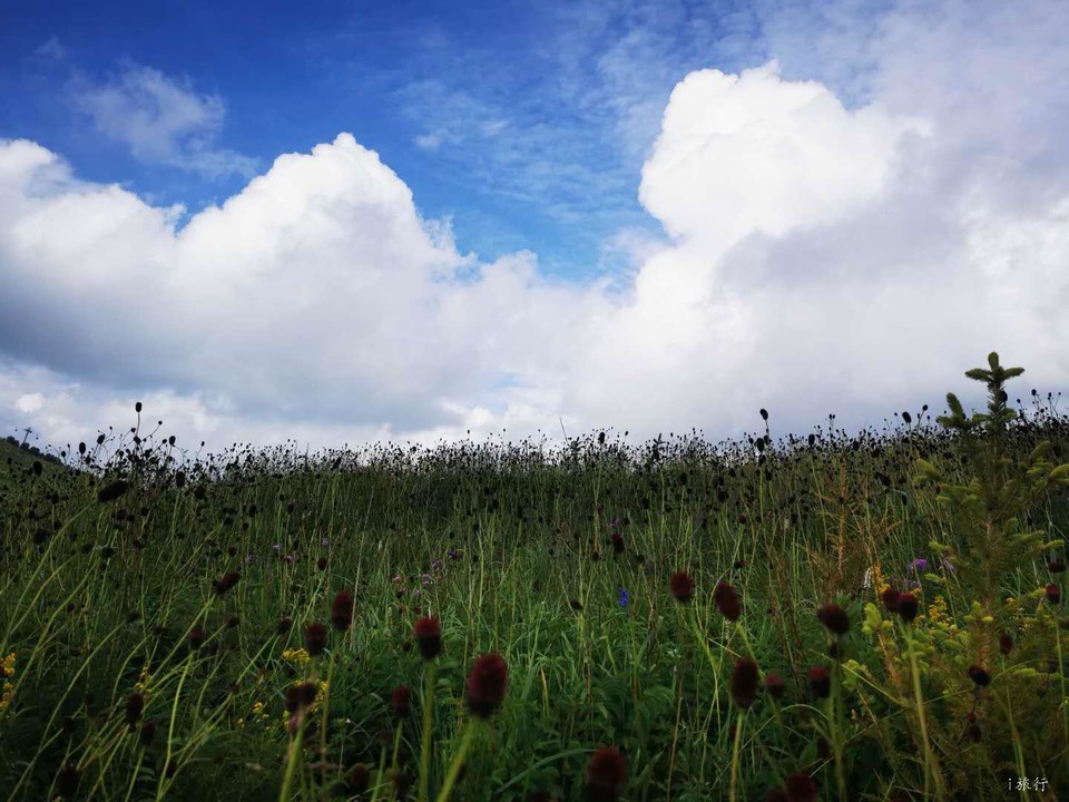 3URYj_uk8DPQYlBQrTQ39cofiF7eQIF3irAP4ZJ28hRscBU6TbY7Q-DUZQY2RVGp