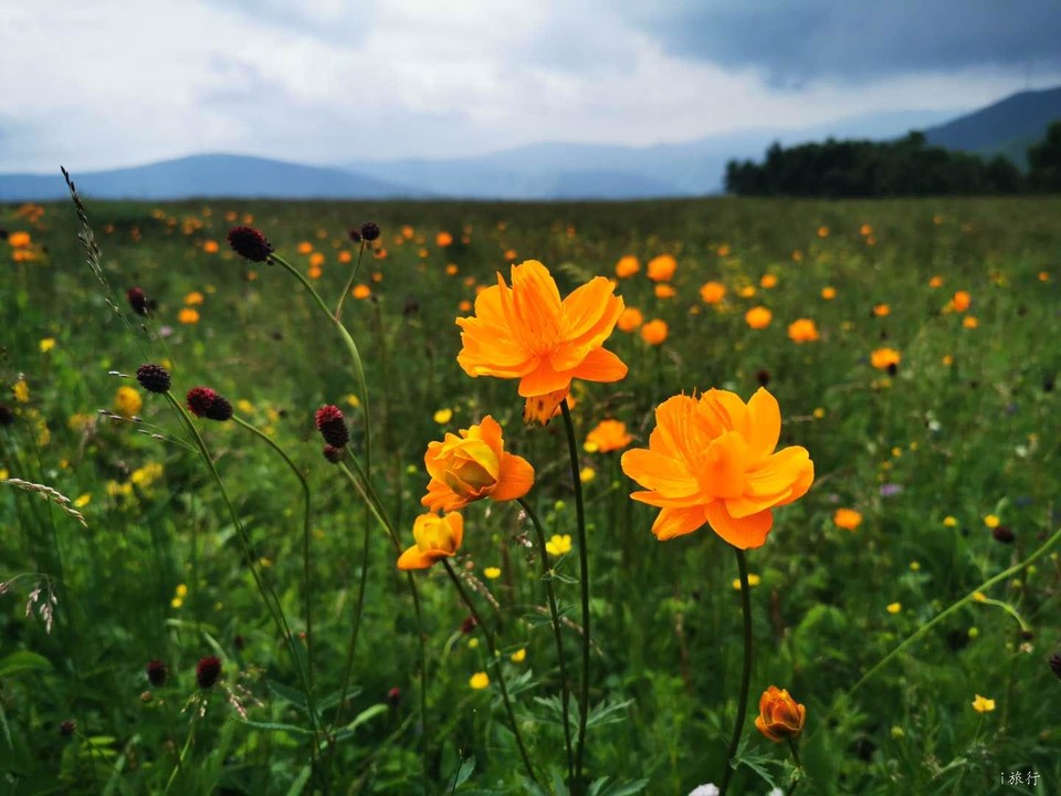 VTbHmS61Qkcc_jPGsHA7_XWhHXMDaeOq0OcJq1lwpK9L-xqvFY26BfvCY_ho_9d8