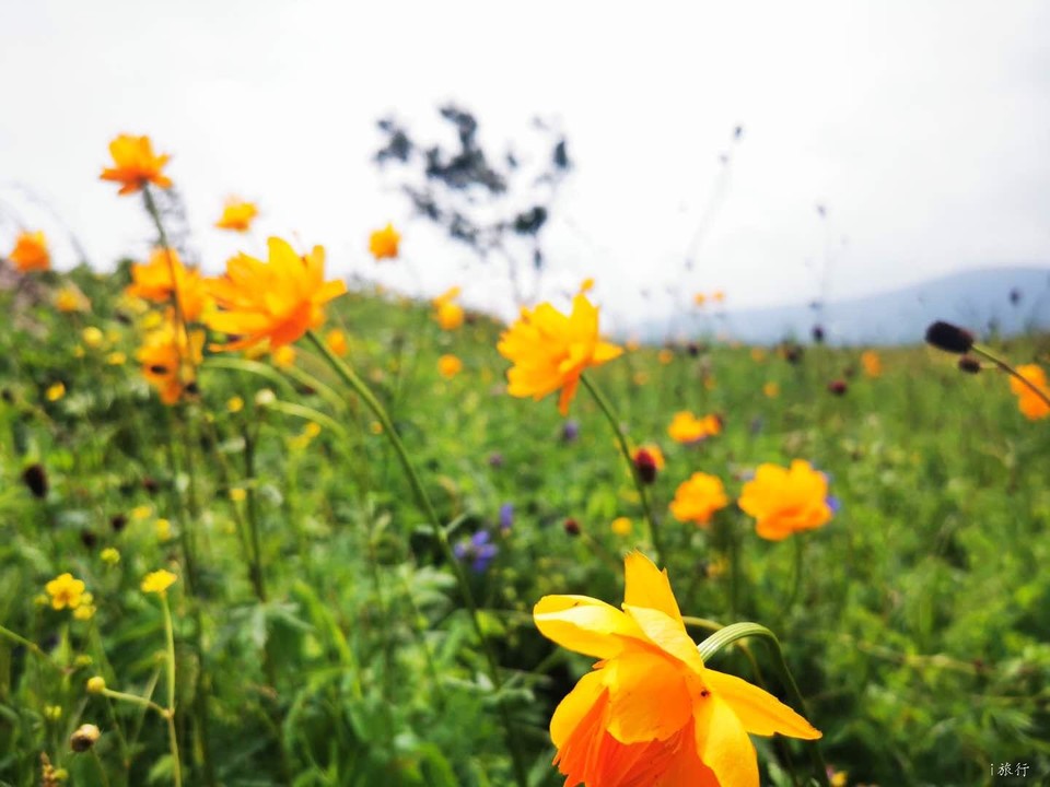 xna44zFZHuG6E0iM5JytYVRu2q305uM57UNGvN870-ZYkab7iwyz93yJnXVt6s_4